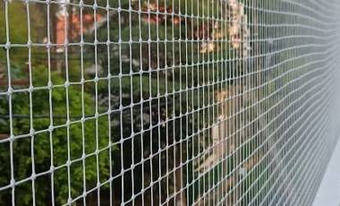 Bird Protection Nets in Hyderabad