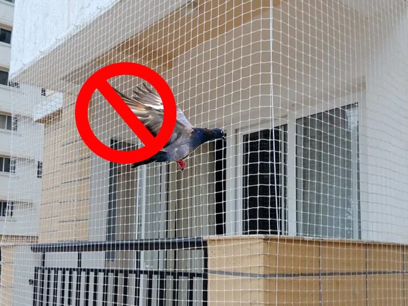 Pigeon Safety Nets for Balconies in Hyderabad